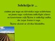 Prezentācija 'Selekcija', 2.