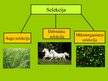 Prezentācija 'Selekcija', 5.