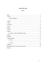 Referāts 'Romas katoļu baznīcas liturģiskie tērpi', 2.