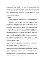 Referāts 'Romas katoļu baznīcas liturģiskie tērpi', 4.