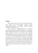 Referāts 'Romas katoļu baznīcas liturģiskie tērpi', 6.