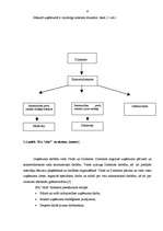 Referāts 'Tirdzniecības uzņēmuma darba analīze', 6.