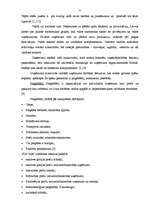 Referāts 'Tirdzniecības uzņēmuma darba analīze', 11.