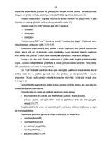 Referāts 'Tirdzniecības uzņēmuma darba analīze', 16.
