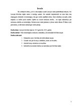 Referāts 'Brīvības cīņas Latvijā', 3.