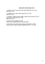 Referāts 'Brīvības cīņas Latvijā', 11.