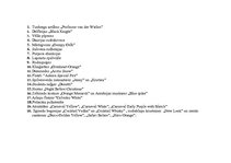 Paraugs 'Puķu dobe', 4.