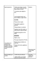 Konspekts 'Integrētā mācību prakse skolā', 6.