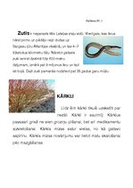 Konspekts 'Integrētā mācību prakse skolā', 8.