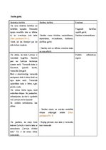 Konspekts 'Integrētā mācību prakse skolā', 11.