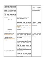 Konspekts 'Integrētā mācību prakse skolā', 12.