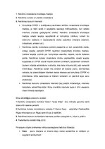 Konspekts 'Reklāmas projekta izstrāde', 4.