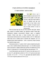 Diplomdarbs 'Biodegvielas nozares analīze un nākotnes vīzija', 37.