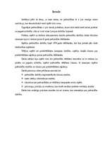 Referāts 'Pašvaldību vēlēšanas', 2.