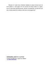 Referāts 'Pašvaldību vēlēšanas', 7.