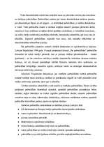 Referāts 'Pašvaldību vēlēšanas', 8.