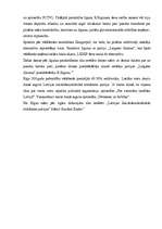 Referāts 'Pašvaldību vēlēšanas', 20.