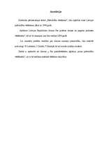 Referāts 'Pašvaldību vēlēšanas', 29.