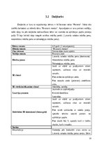 Prakses atskaite 'Pirmsskolas izglitības iestādes prakse', 16.