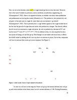 Referāts 'Brain Down the Drain or the Loss of Human Capital of Latvia', 10.