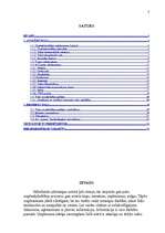 Referāts 'A/s "Laima" vadīšana mainīgās ārējās vides apstākļos', 3.