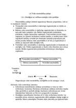 Referāts 'A/s "Laima" vadīšana mainīgās ārējās vides apstākļos', 26.