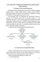 Diplomdarbs 'SIA "AgroCorp" izmantoto reklāmas kanālu novērtējums', 27.