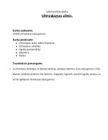 Paraugs 'Laboratorijas darbs fizikā. Ultraskaņas vilnis', 1.