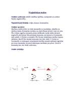 Konspekts 'Vieglatlētikas stafete vidusskolai', 1.