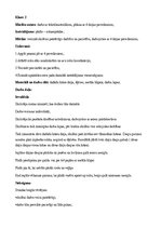 Konspekts 'Rotājumi no dzijas', 4.