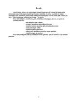 Referāts 'Grīdu betonēšanas mehānizācijas līdzekļi', 3.