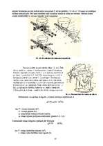 Referāts 'Grīdu betonēšanas mehānizācijas līdzekļi', 14.