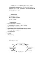 Konspekts 'Komunikācijas teorijas pirmsākumi. Komunikācijas teorijas struktūra. Jaunas komu', 6.