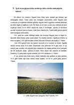 Prakses atskaite 'Engures dabas parks', 16.