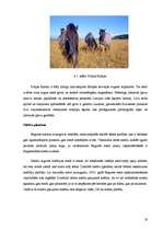 Prakses atskaite 'Engures dabas parks', 19.