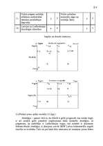 Referāts 'SIA "BSW Latvia" mārketinga un stratēģijas analīze, darbības plānošana', 35.