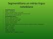 Referāts 'SIA "BSW Latvia" mārketinga un stratēģijas analīze, darbības plānošana', 48.