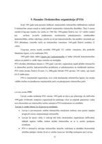 Referāts 'Starptautiskās organizācijas', 12.