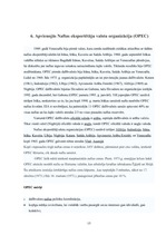 Referāts 'Starptautiskās organizācijas', 15.