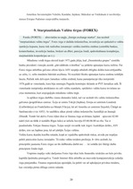 Referāts 'Starptautiskās organizācijas', 20.
