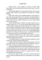 Konspekts 'Dzeltenais drudzis', 1.