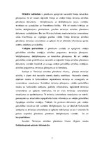 Referāts 'Detālplānojuma izstrādes nepieciešamība', 7.