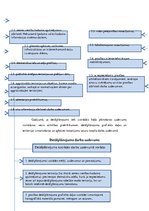 Referāts 'Detālplānojuma izstrādes nepieciešamība', 12.