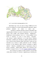 Referāts 'Detālplānojuma izstrādes nepieciešamība', 18.