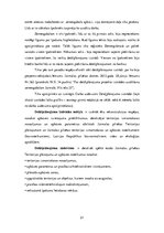 Referāts 'Detālplānojuma izstrādes nepieciešamība', 21.