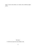 Referāts 'Medzes pagasts', 13.