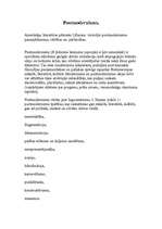 Konspekts 'Postmodernisms', 1.