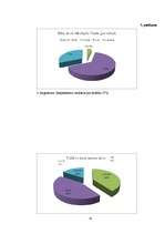 Referāts 'Dzīves kvalitāte un to ietekmējošie faktori manā skolā', 33.
