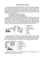 Konspekts 'Pneimotransporta iekārta', 1.