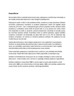 Biznesa plāns 'Biznesa plāns', 2.